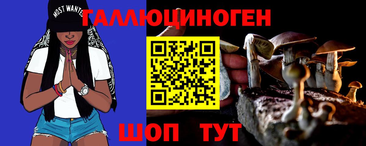 Псилоцибиновые грибы ЛСД Хабаровск